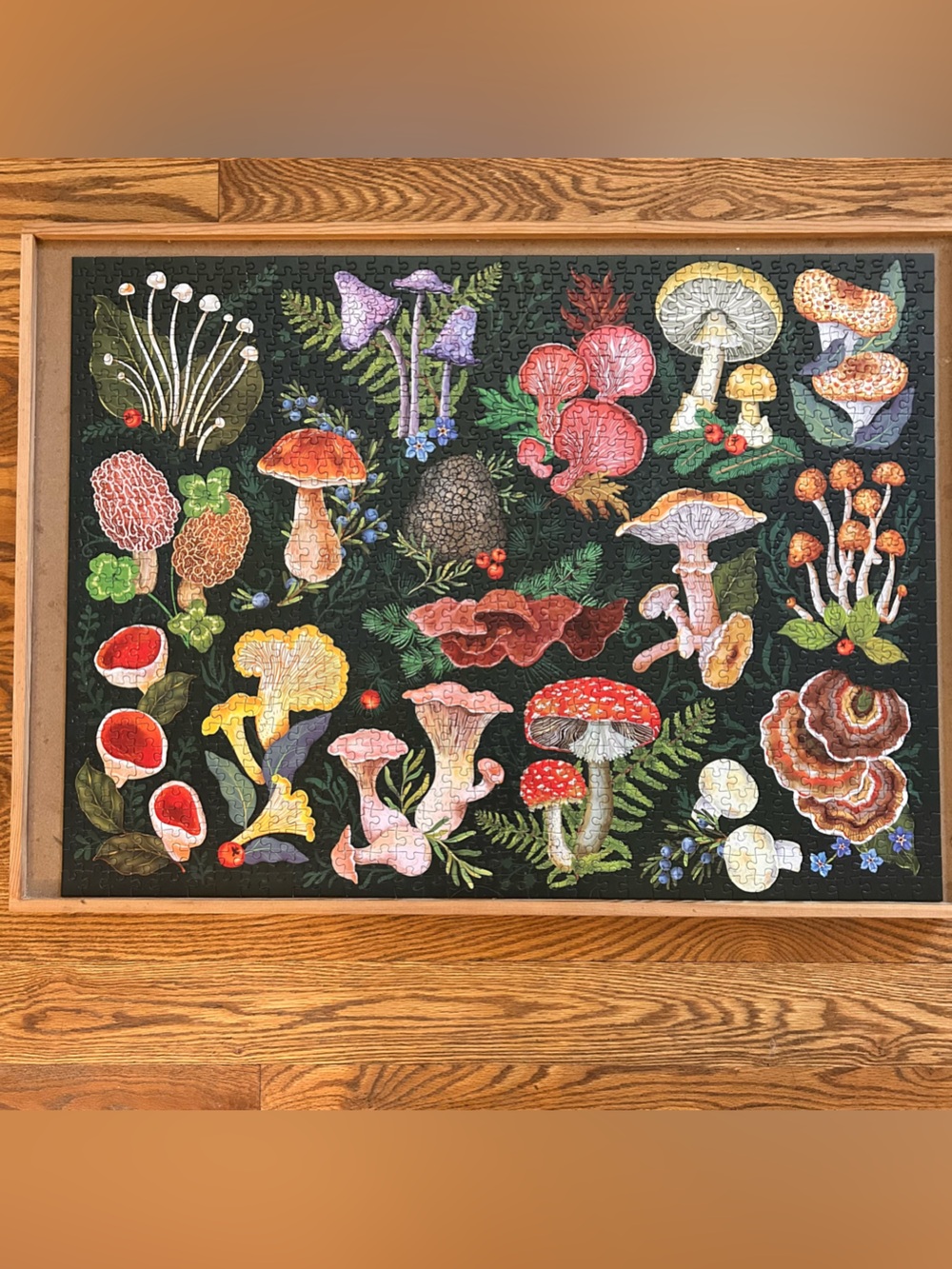 World of Mushrooms, 1000 piece puzzle
